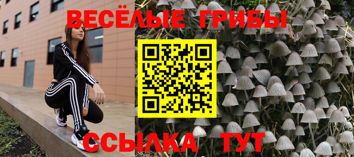Галлюциногенные грибы MAGIC MUSHROOMS  Вход с VPN  Великий Новгород 